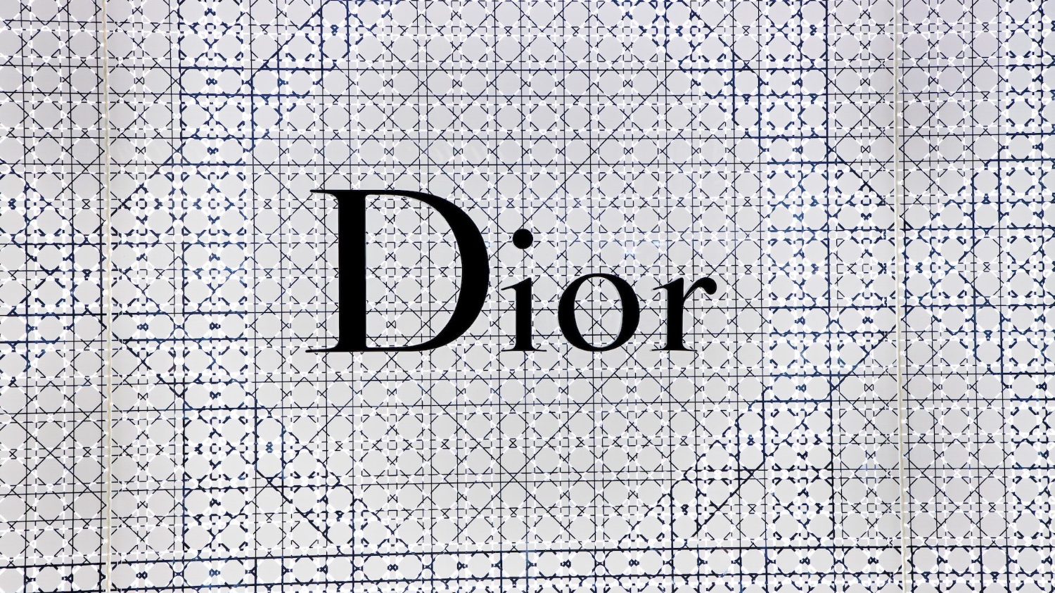 디올(Dior)백 원가 8만원의 진실