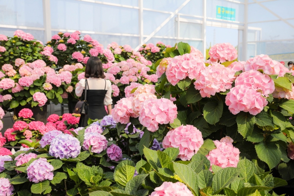 요즘 날씨에 가기 딱 좋은 지역 축제 추천 🎪🌷