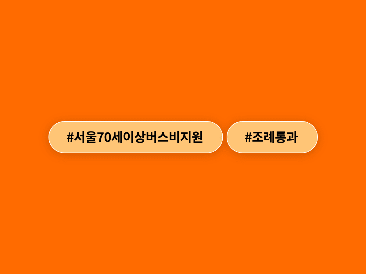 서울시의회가 70세 이상 어르신 버스요금 지원 조례를 통과시켰어요. 🚌