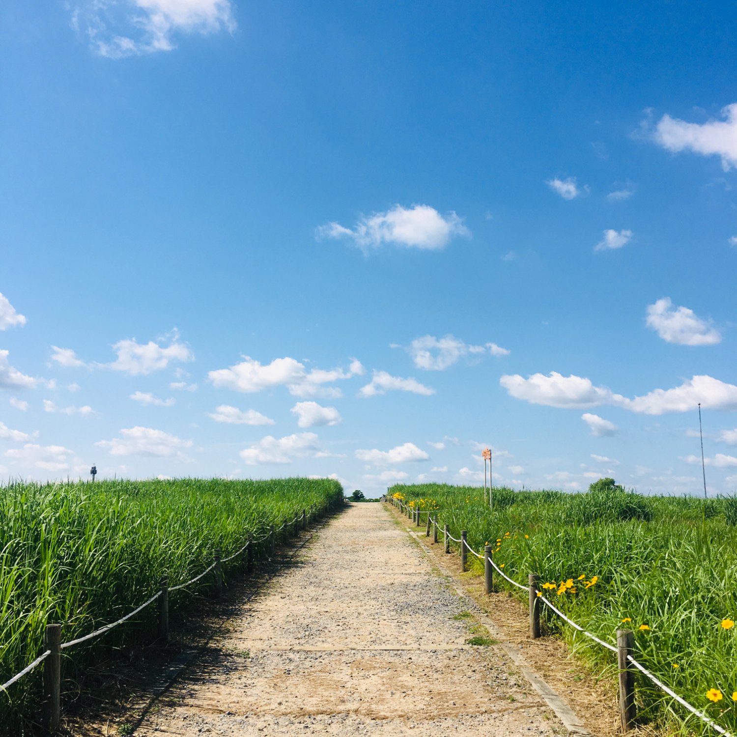평범한 사람의 평범하지 않은 이야기들