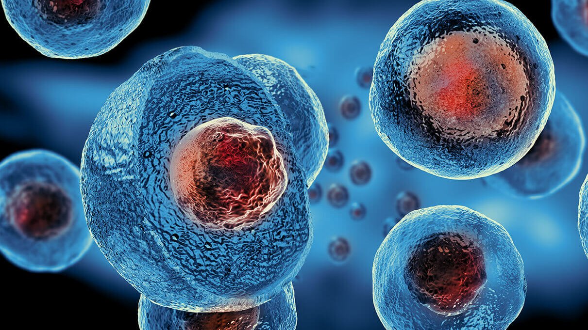 ep. 2 코이의 줄기세포 수다가 왔수다 🧪