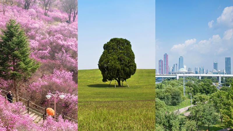 꽃구경 놓쳐서 아쉽다고? 봄을 즐기기 좋은 서울·경기 피크닉 장소 추천 🍀