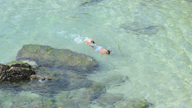 4km 헤엄쳐 가족을 구한 어느 ‘작은 영웅’ 이야기 🦸