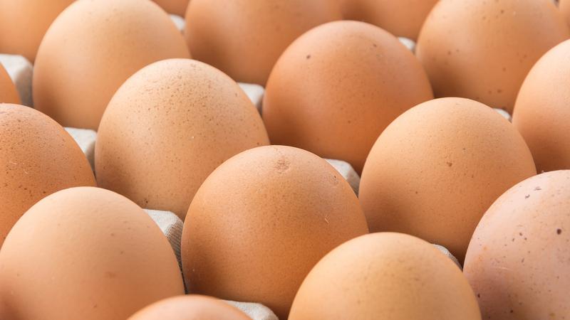 계란 크기 표시 변경: 왕란·특란 대신 2XL·XL로 바뀌어요 🥚
