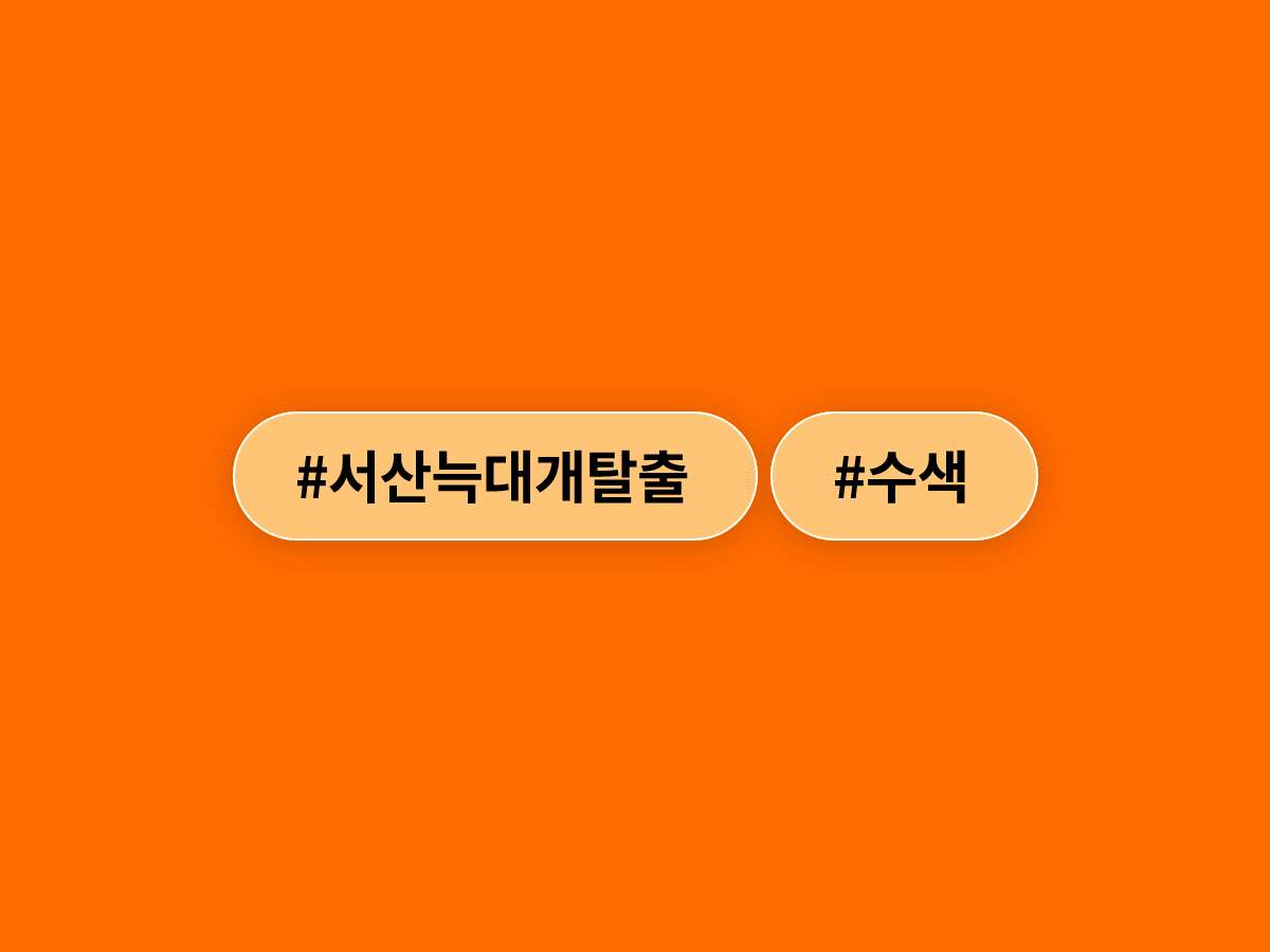 충남 서산 탈출 늑대개 성견 1마리가 스스로 돌아왔어요. 🐺