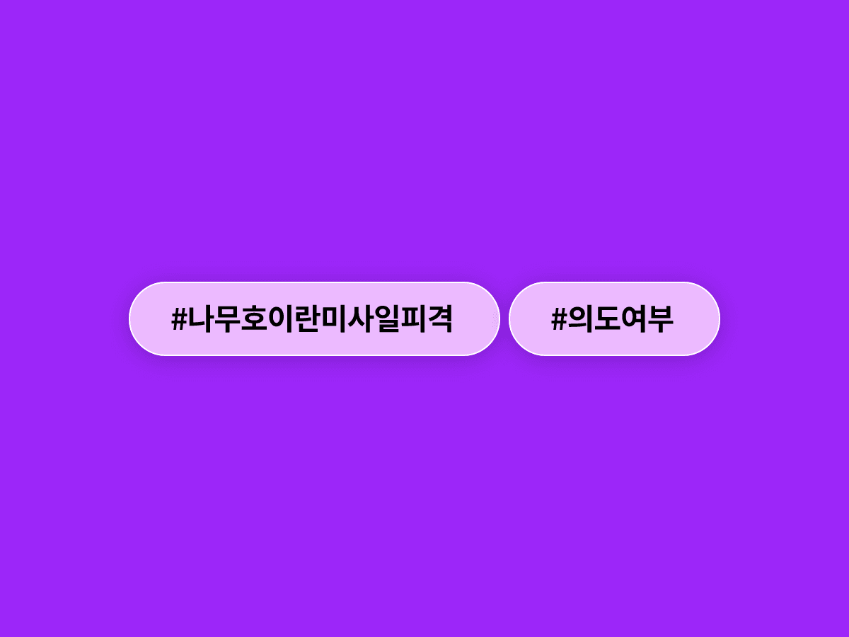 한국 선박 나무호 이란산 미사일 피격, 이재명 대통령 "의도 아닌 건 확실, 그래도 엄중 항의"라고?