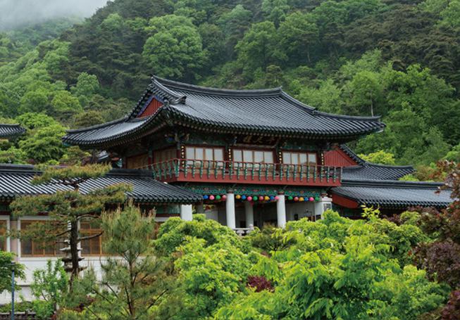 고요한 사찰에서의 머무름, 템플스테이 사찰 6곳 추천 🪷