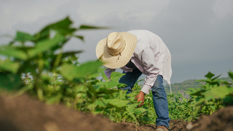 ‘농어촌 기본소득’, 농어촌 지역 주민이라면 이번 달 말부터 매달 15만 원씩 지급돼요