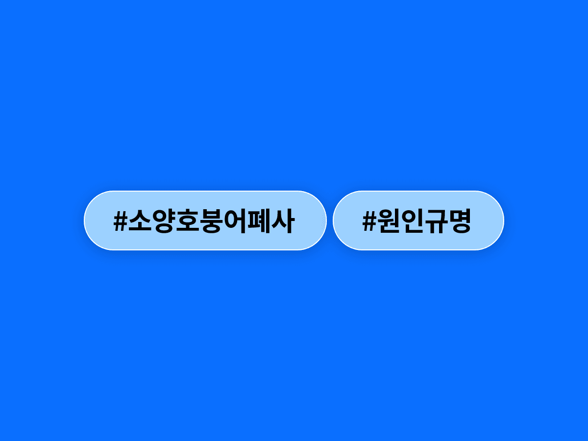 소양호 붕어 집단 폐사 원인 밝혀졌어요, 농가 비료·가축 분뇨가 쌓여 산소 부족 일으켰대요. 🐟