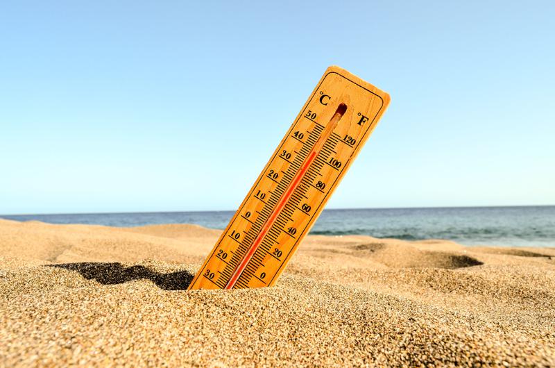 유럽 폭염으로 초과 사망 1300명 넘고, 물가 오르는 히트플레이션 우려까지? 🌡️🌍
