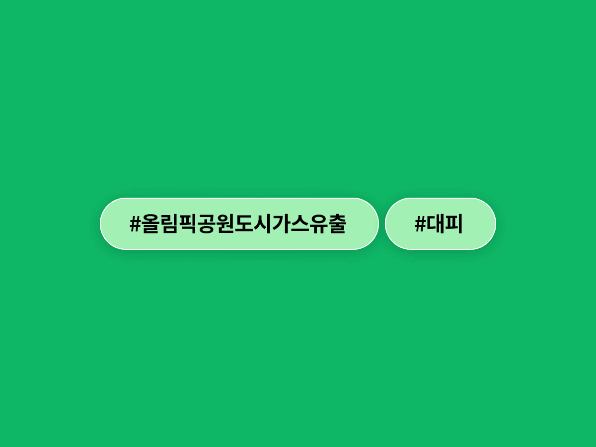 서울 송파구 올림픽공원 인근에서 도시가스가 유출돼 130여 명이 대피했어요. 🚨