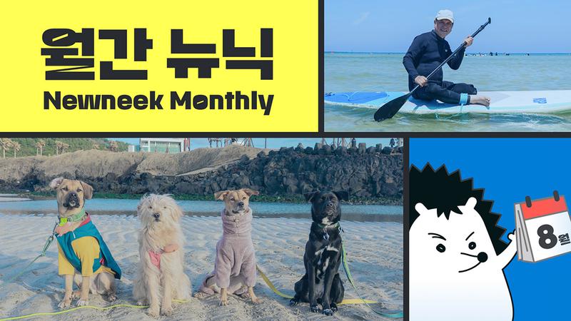 장애인도, 반려동물 가족도 함께하는 여름휴가! 배리어프리 여행에 대한 모든 것 🏖🏄