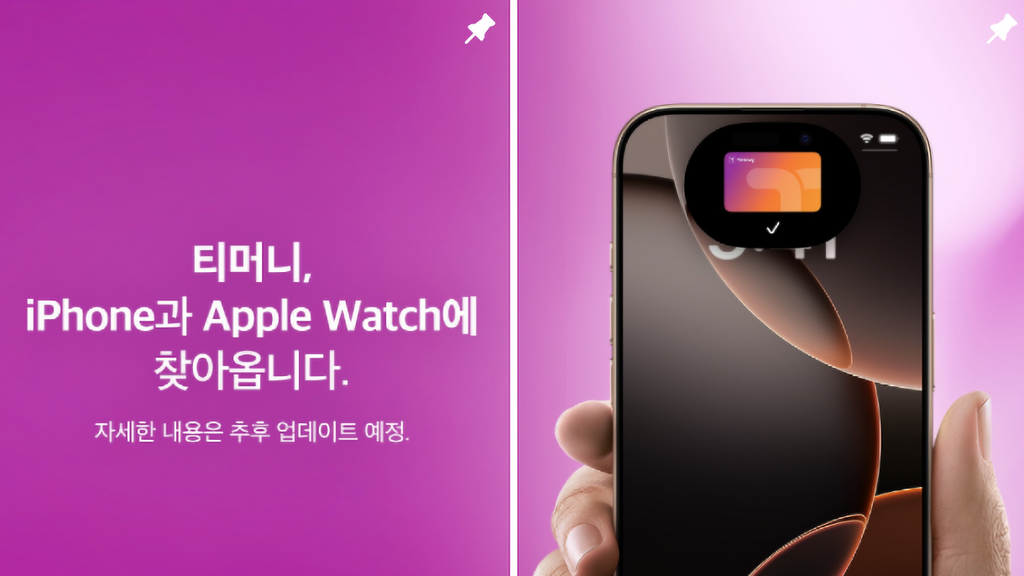 애플페이 교통카드 티머니에서 곧 서비스