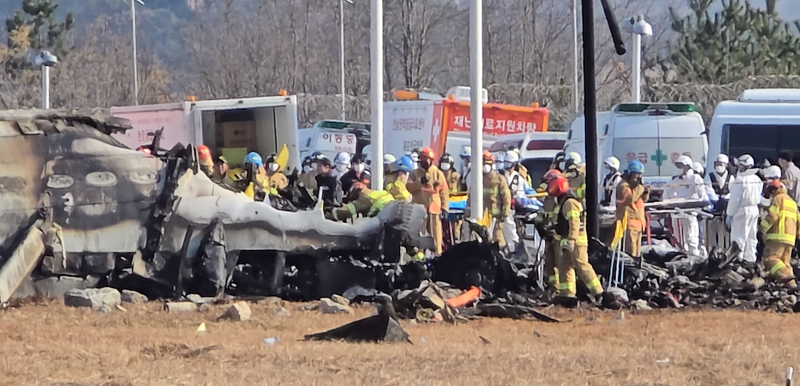 1년이 지났는데 유해가 발견됐다? 12·29 제주항공 여객기 참사 초기 수습 부실 논란 상황 & 반응