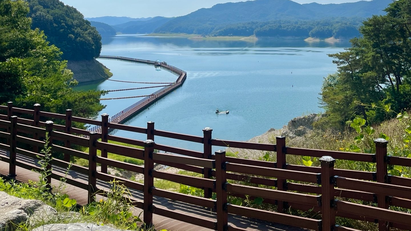 안동 핫플 완전 정복: 선성수상길부터 3대 빵집까지!