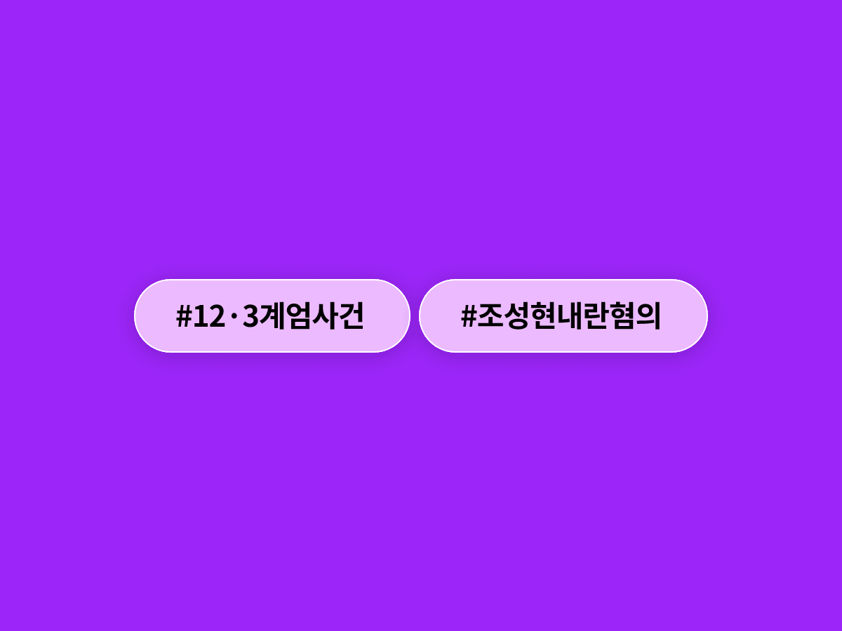 특검이 12·3 계엄 당시 '서강대교 넘지 말라' 지시한 조성현 전 경비단장을 내란 혐의로 입건했어요. 🔍