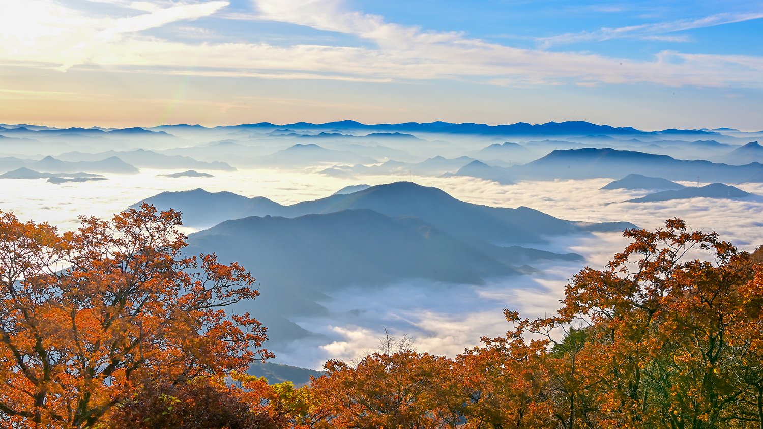 단풍 명소 편하게 즐기자! 정선 가리왕산 케이블카 여행 🚠