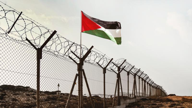 "전쟁이 아니라 집단학살": 가자지구 인도적 위기에 국제사회가 이스라엘을 비판하는 이유