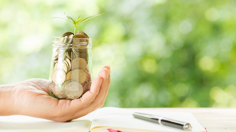 경기도 청년기본소득 2분기 신청 시작: 24세 청년이면 1년 최대 100만 원 받아요 💸