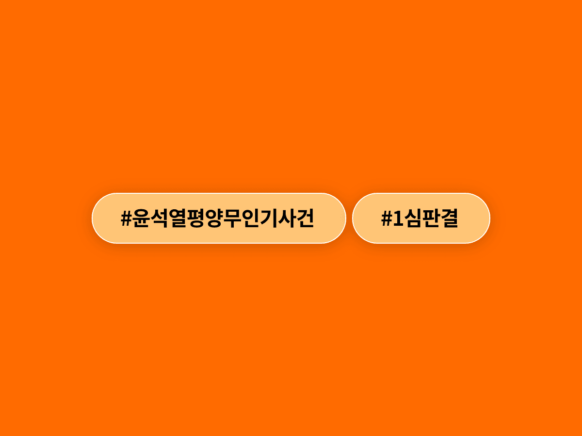 윤석열 전 대통령, 평양 무인기 투입 혐의 1심에서 징역 30년을 선고받았어요.