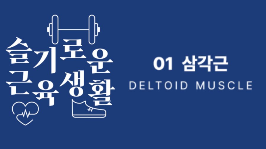전면 완벽하죠? 측면 완벽하죠? 후면 완벽하죠? 텍스쳐가 완벽하잖아요. 