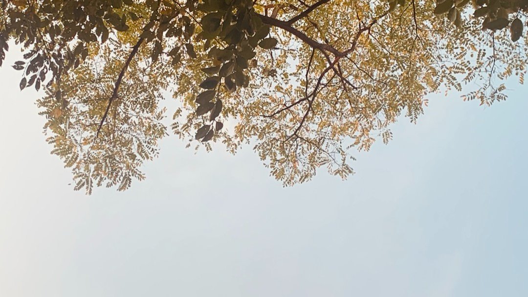 가을에 해보면 좋을 것들