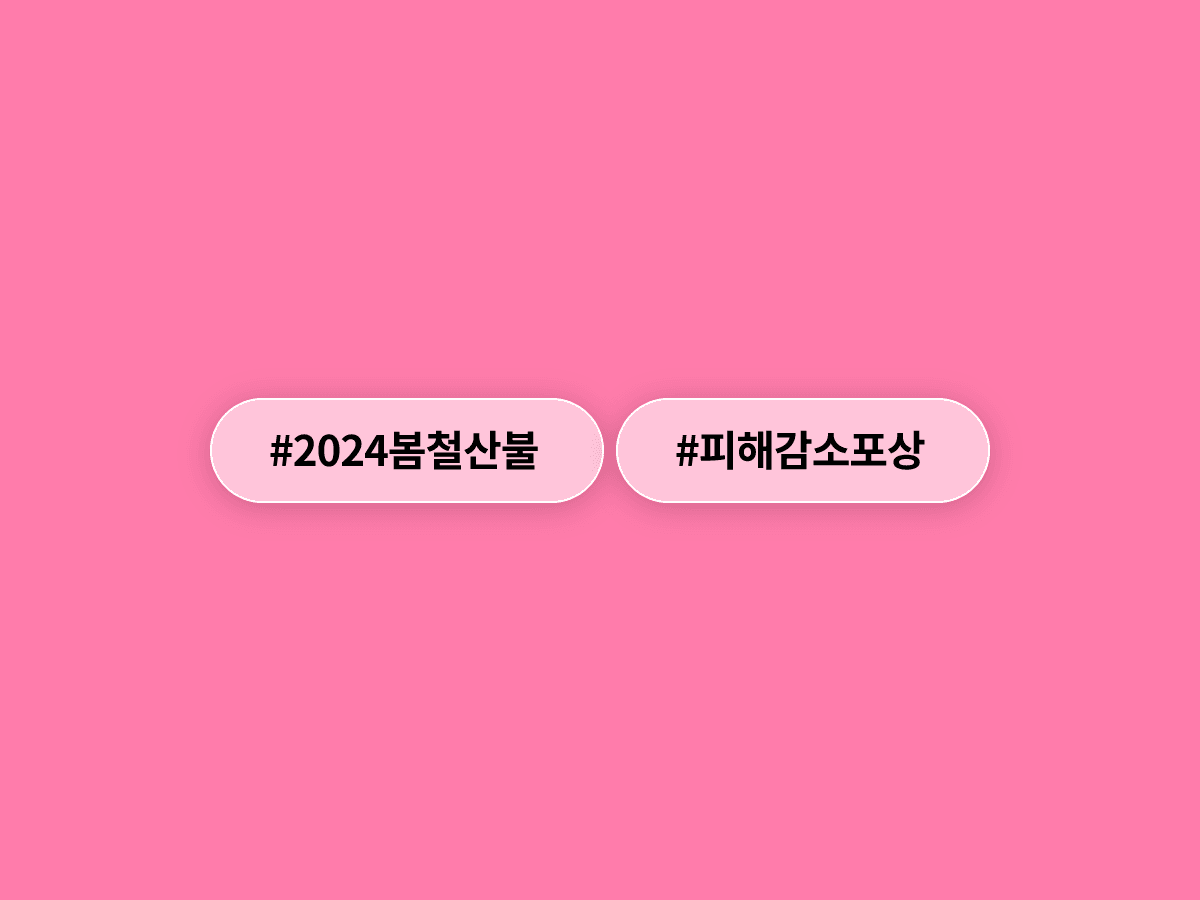 올해 봄철 산불 피해 면적이 지난해보다 99% 줄었어요. 정부가 유공자 490명을 대대적으로 포상해요. 🏅