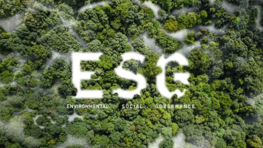 ESG 시대, 사랑받는 브랜드 만들기!