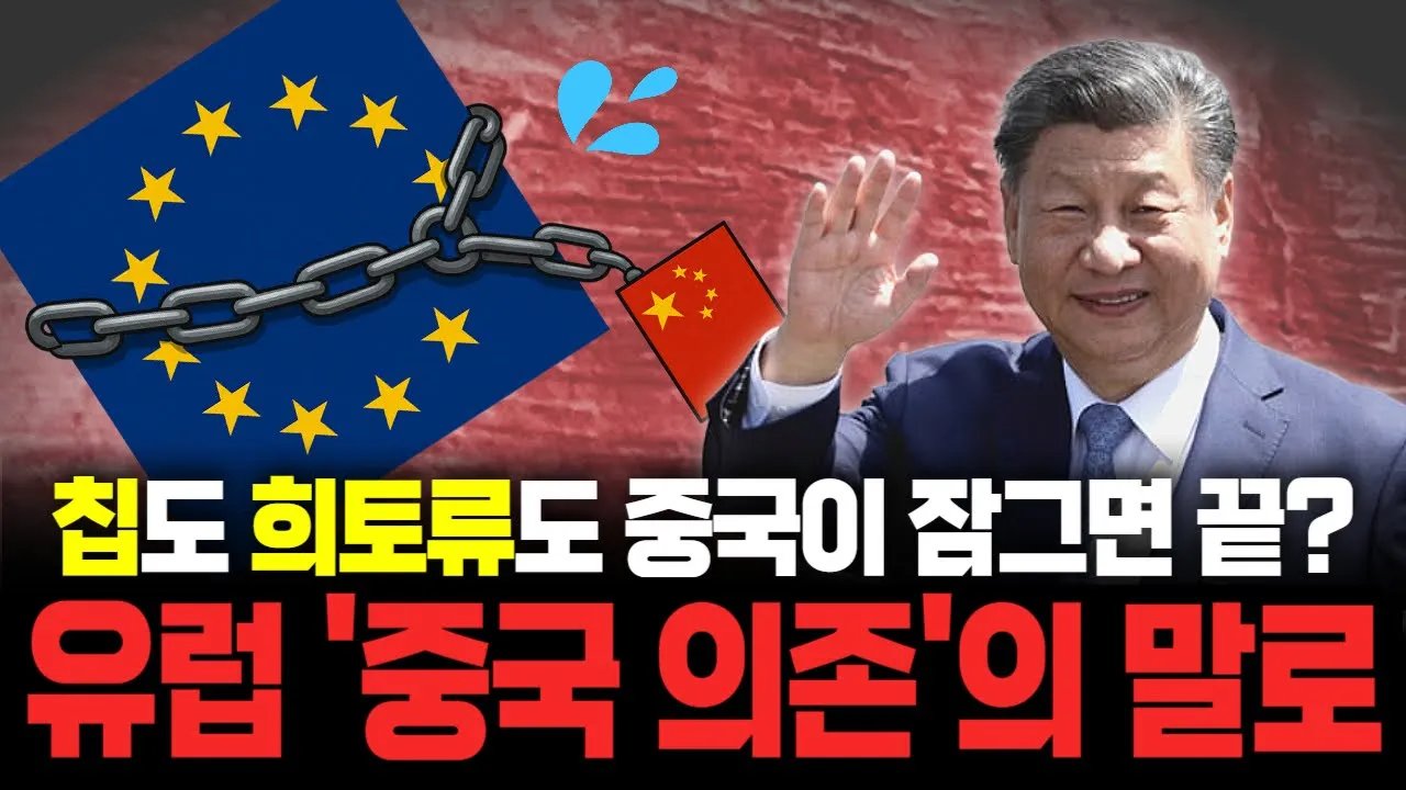 산업을 중국으로 이전한 유럽, 결국엔 핵심 부품 인질 잡혔다🤨