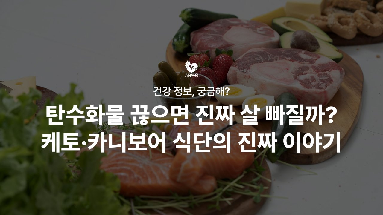 탄수화물 끊으면 진짜 살 빠질까? 케토·카니보어 식단의 진짜 이야기