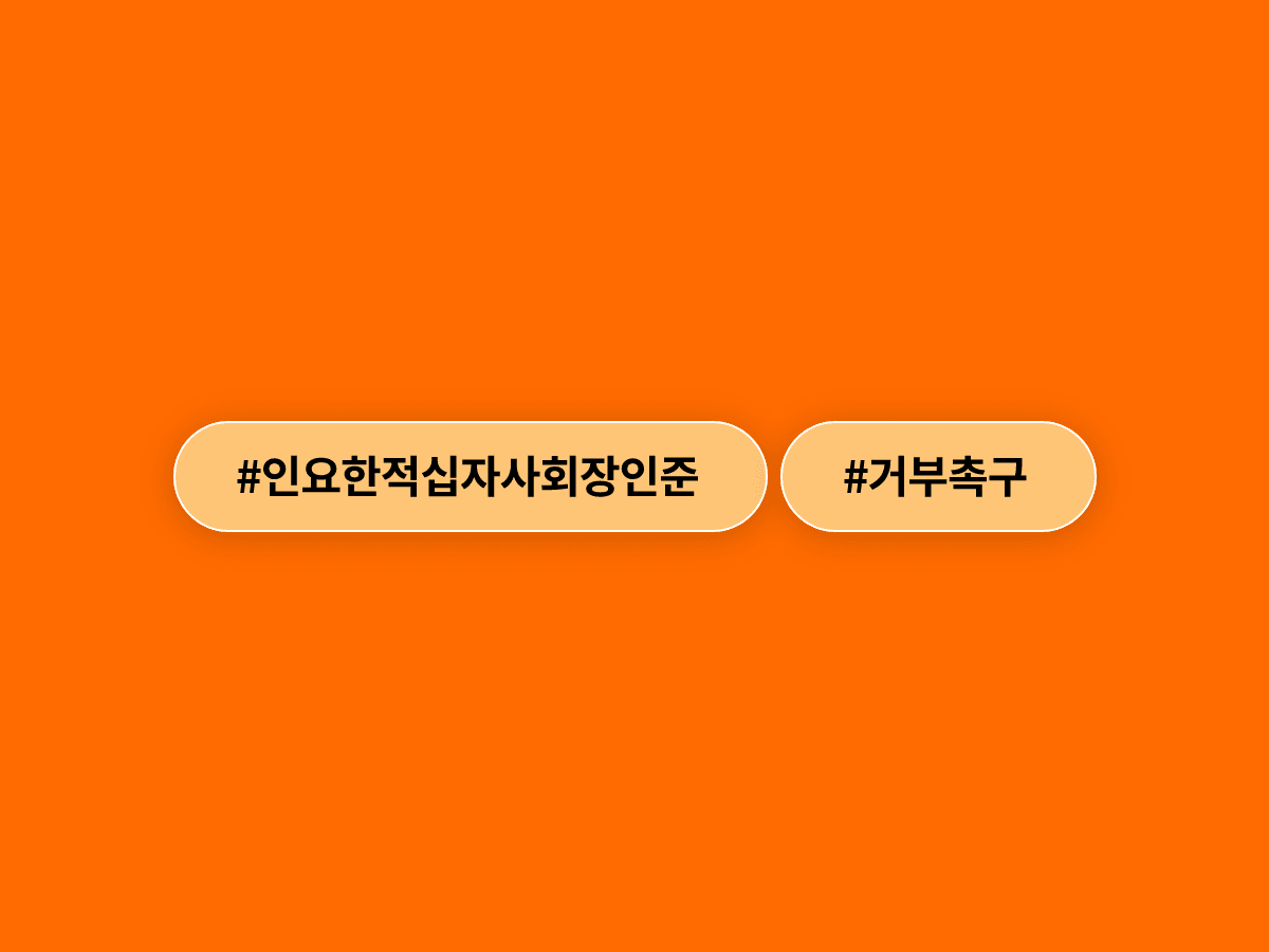 조국혁신당이 이재명 대통령에게 인요한 대한적십자사 회장 인준 거부를 촉구했어요. 🚩