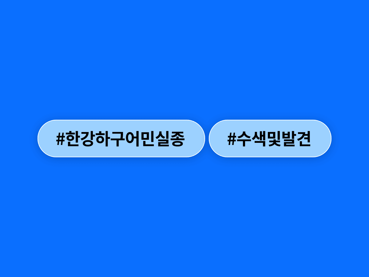 경기도 김포 한강 하구에서 조업 중 물에 빠진 70대 어민 A 씨, 하루 만에 숨진 채 발견됐어요.