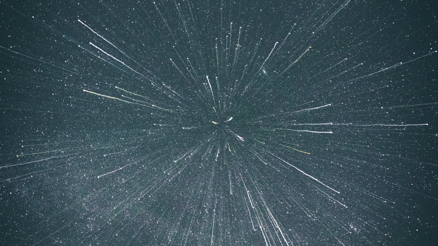 🌟 퍽퍽하고 꺼끌꺼끌한 길을 벗어나지 않는 힘