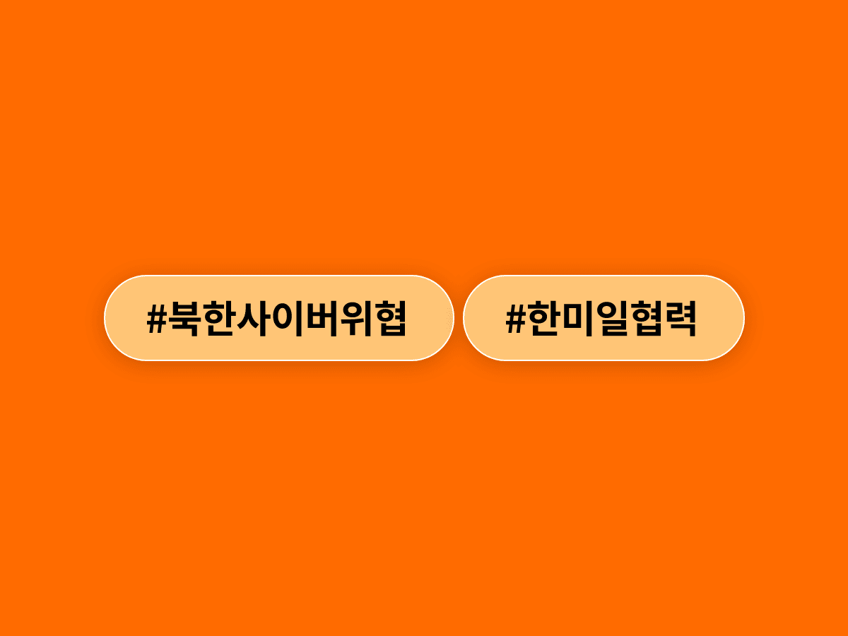 북한 사이버 위협 대응 위해 한미일 외교당국이 워싱턴DC에서 머리를 맞댔어요. 🌐