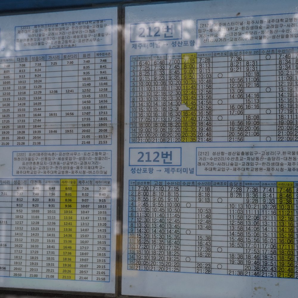 커서 뭐가 되려고.