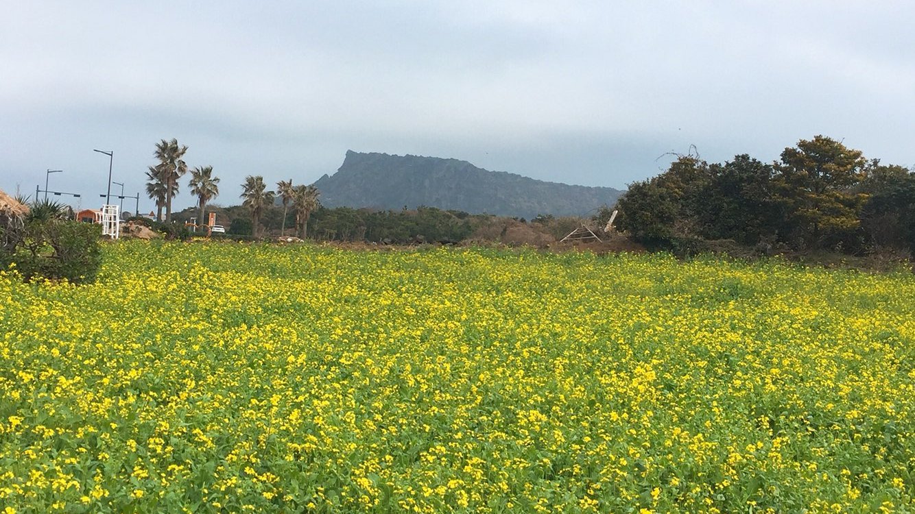 아빠랑 안 살지만, 엄마랑 사이가 좋지도 않은데요