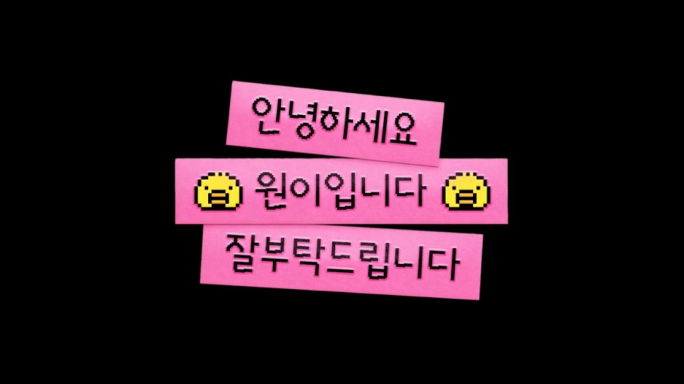 [2026/6/1주차] ▶️ 안녕하세요원이입니다잘부탁드립니다
