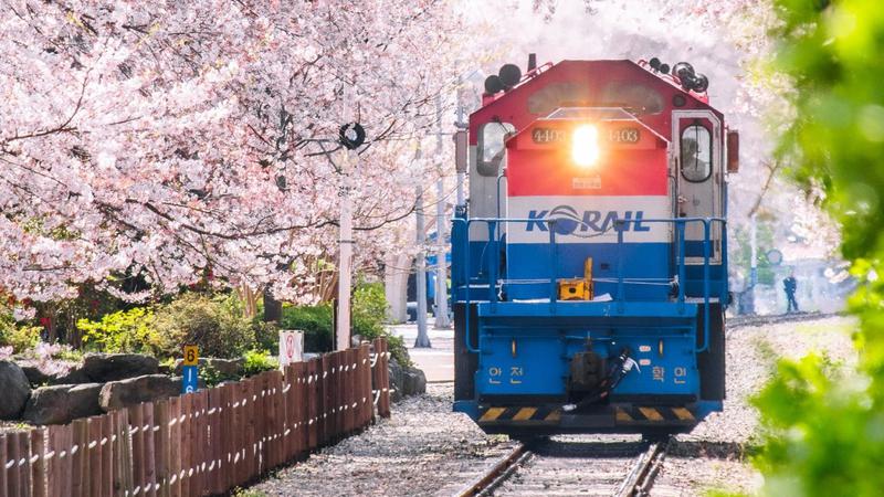 ‘2026 여행가는 봄’ 혜택 총정리: 무료로 기차 타고 숙박 할인 받고 여행비도 돌려받아요 🌸🧳