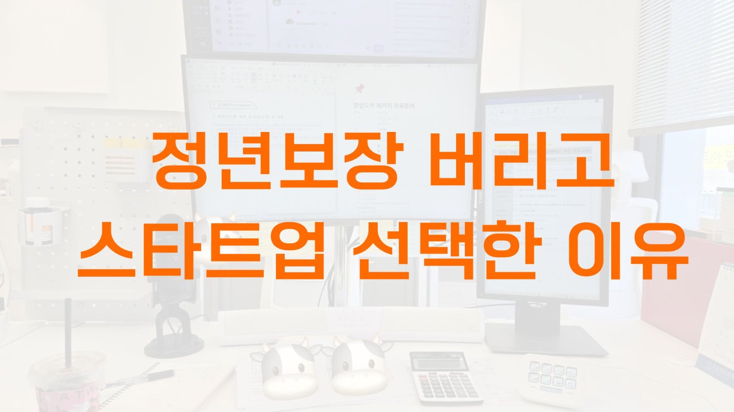 정년보장 버리고 스타트업 선택한 이유