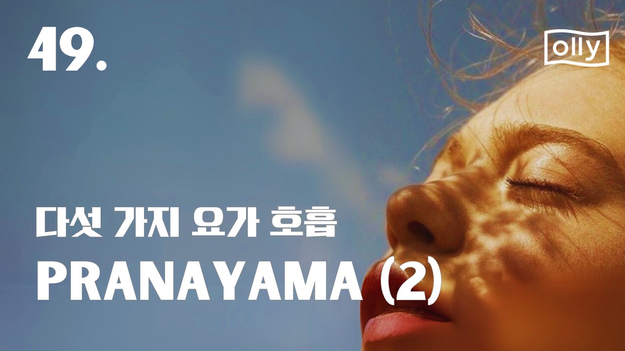 49호. 제대로 숨쉬는 5가지 방법 (+ 도서 증정 이벤트)