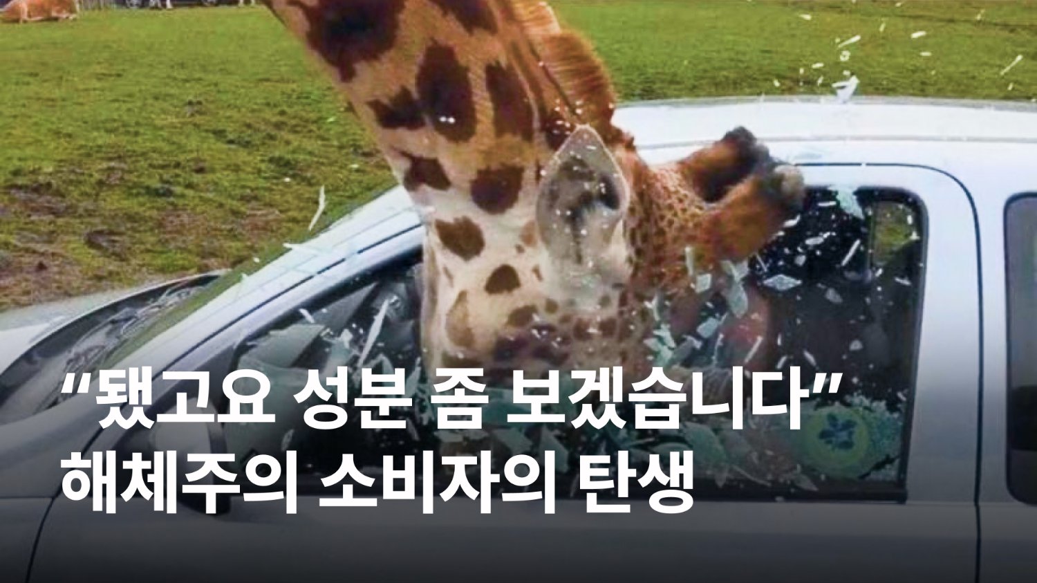 해체주의 소비자의 탄생