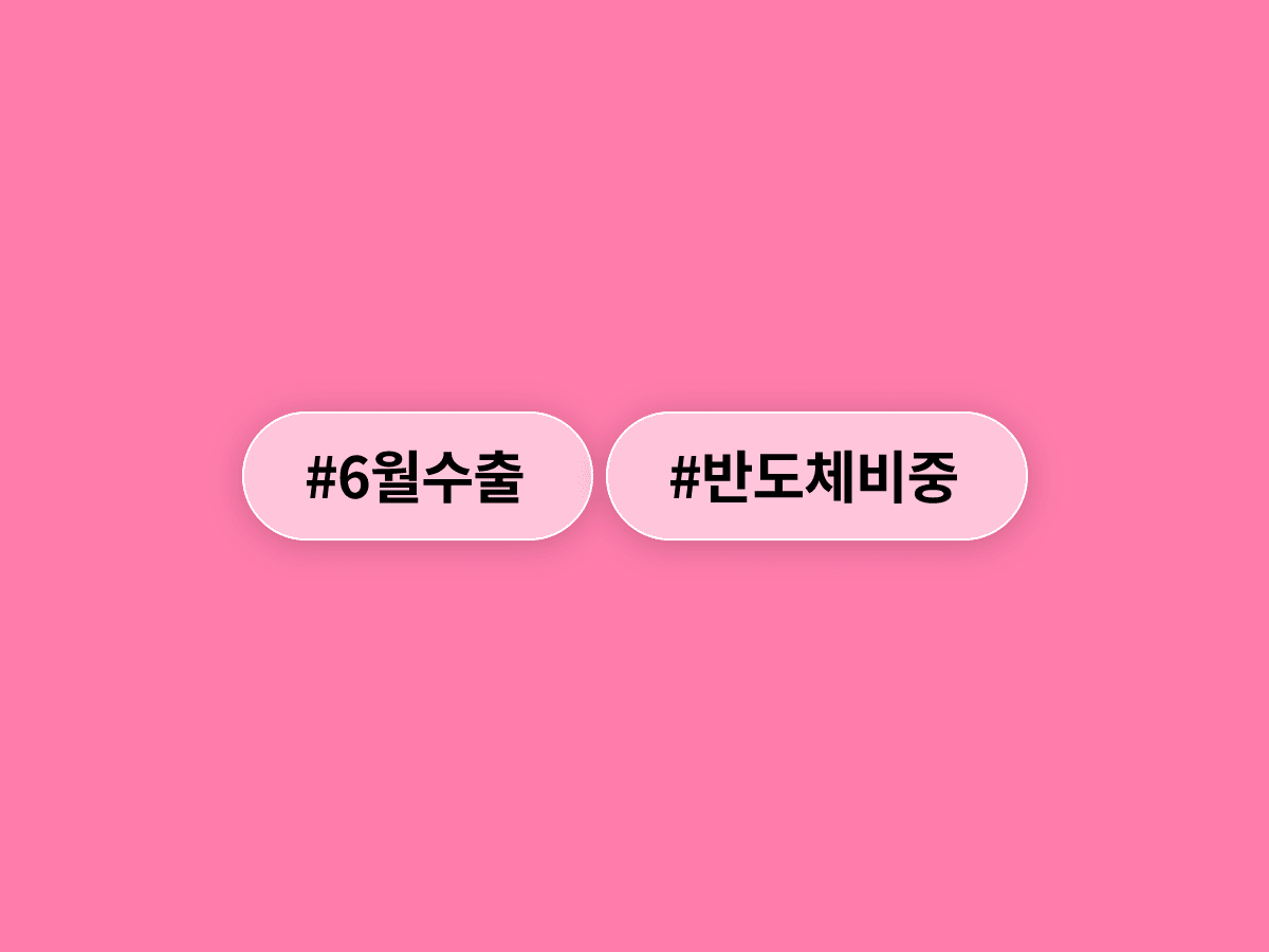 6월 1~20일 수출액이 620억 달러로 역대 최대를 기록했어요. 반도체가 전체 수출의 41%를 차지했대요. 📦