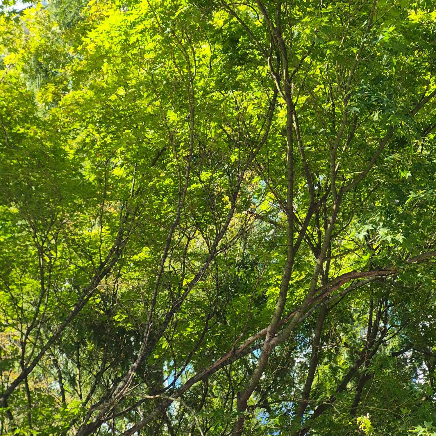 지극히 개인적인 노래 추천