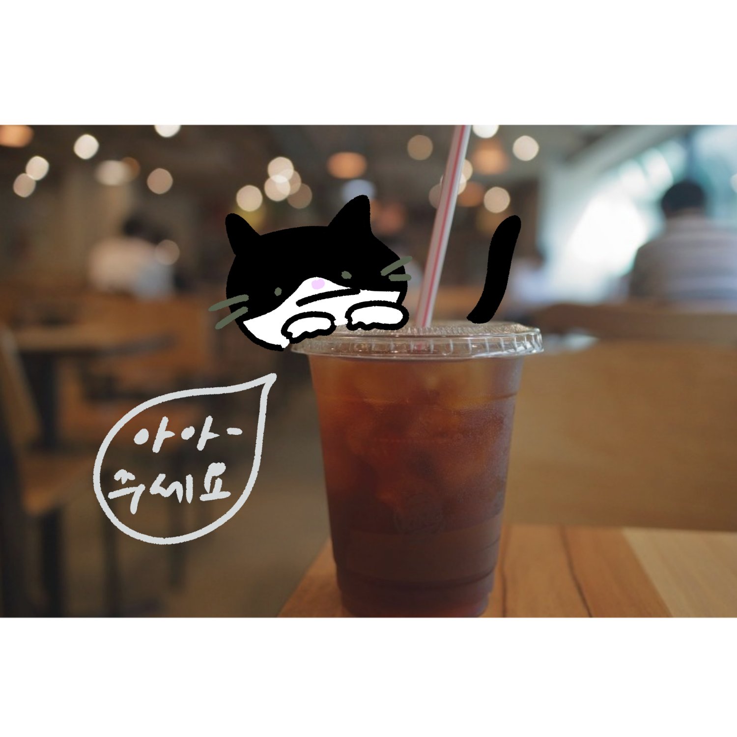 커피달고 사는데..고지혈증이 거기서 왜 나와요?