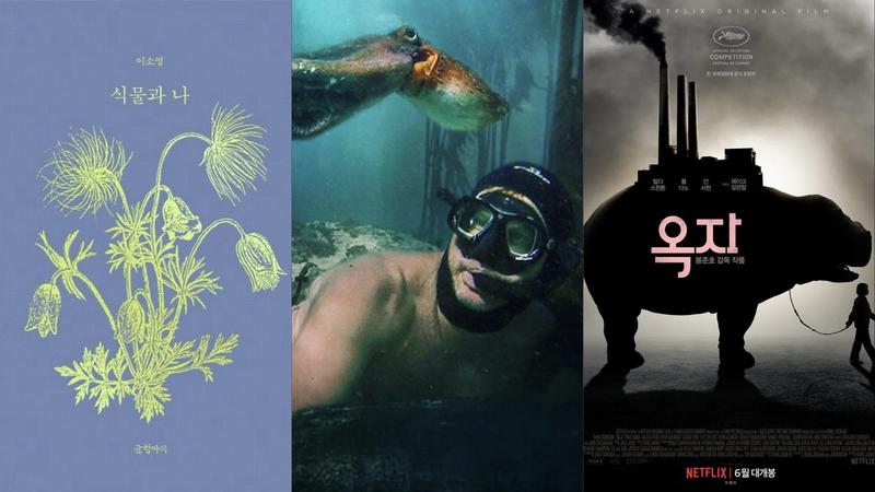 바쁜 일상 속 자연과의 관계를 생각하게 만드는 콘텐츠 추천 🌳🫂 (feat. 책·영화·다큐멘터리)