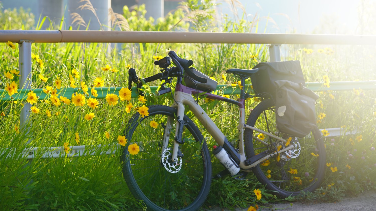 시골길 따라 자전거와 들풀 도시락🌿 보라시골 웰니스 여행