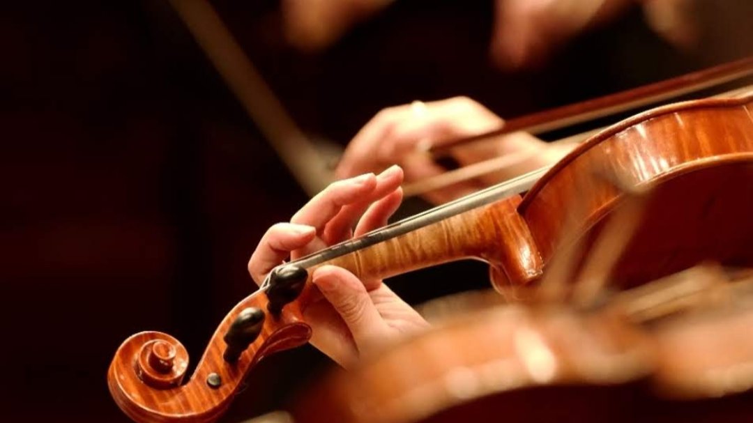 5. 같은 것에 몰입하는 동료가 많아졌다.