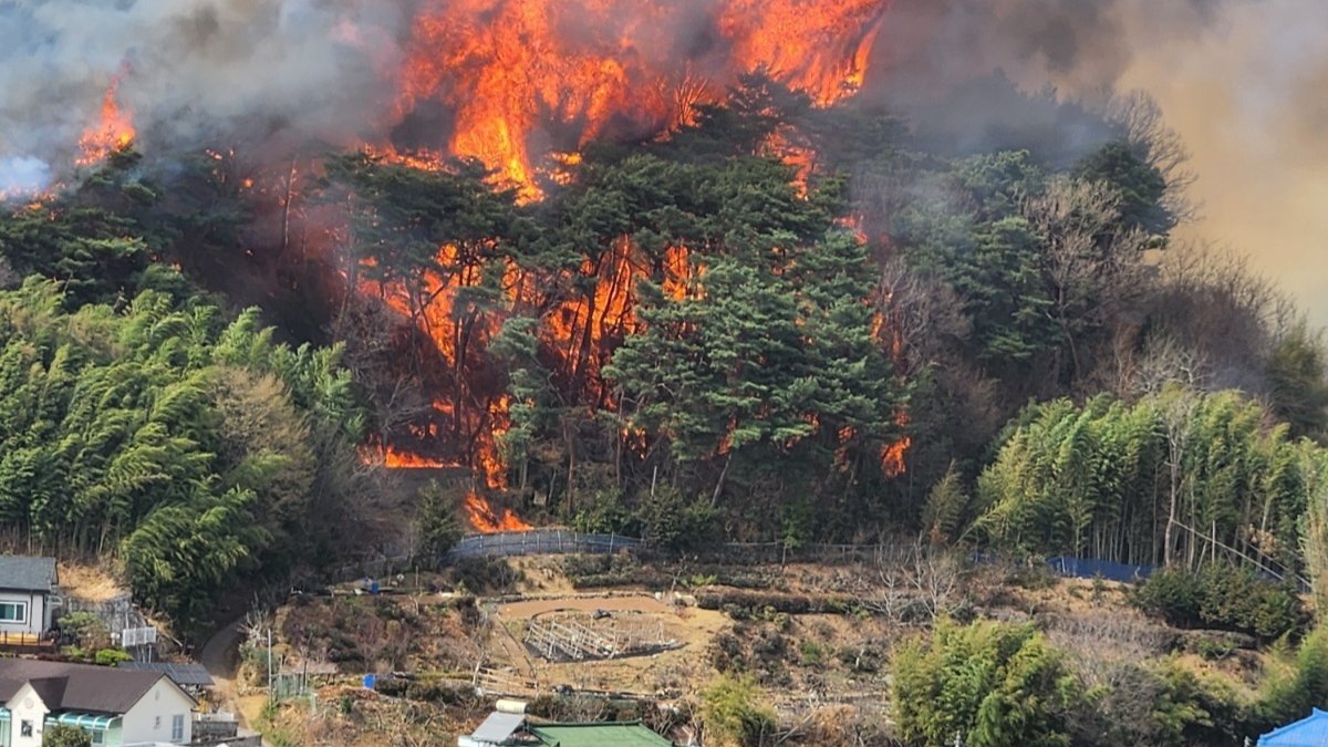 위성사진으로 본 재난, 기후위기는 어떻게 산불 피해를 키웠을까?