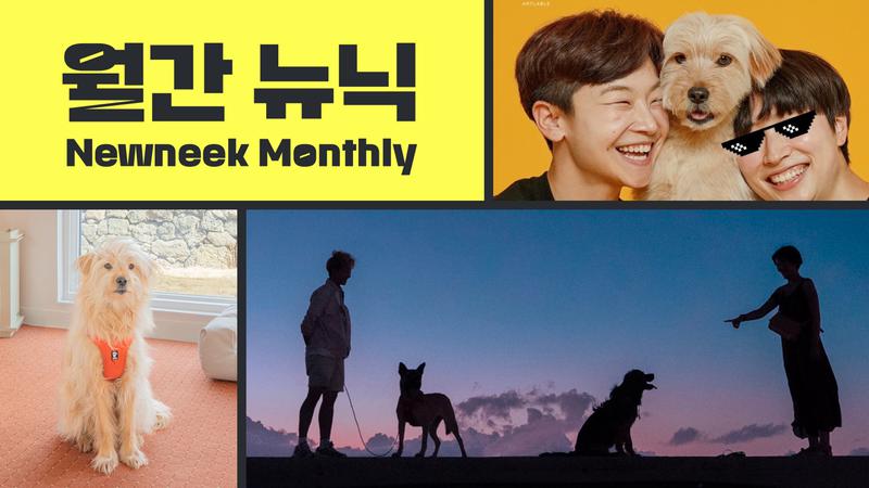 월간뉴닉 인터뷰 ② “우리도 당당한 손님이다멍! 🐶” 모두에게 편안하고 안전한 ‘금배네민박’ 🏡🐾