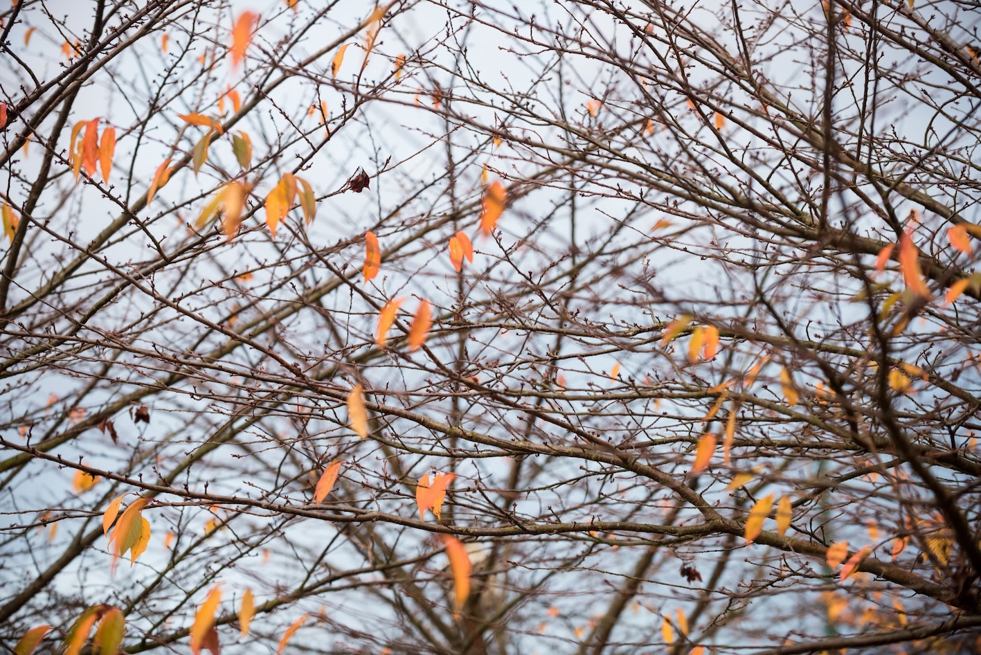 더웠다가 추웠다가, 역대급 오락가락 우리나라 날씨 🥵🥶